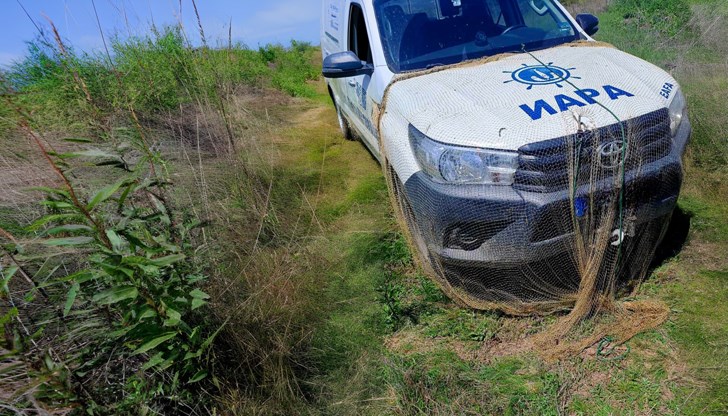 Инспекторите съставиха два акта и върнаха уловената риба обратно във водата Инспекторите съставиха два акта и върнаха уловената риба обратно във водата