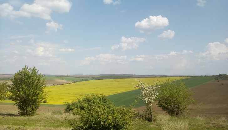 Слънчево време в цяла България, но сутрините остават студени със слана на места Слънчево време в цяла България, но сутрините остават студени със слана на места