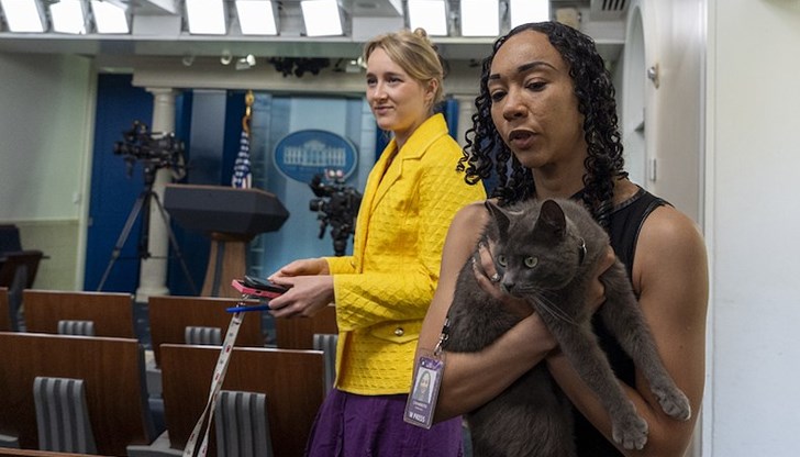 Четириног нарушител в залата за пресконференции Четириног нарушител в залата за пресконференции