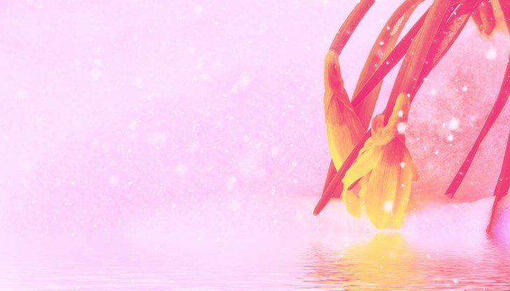 Температурите падат под нулата Температурите падат под нулата