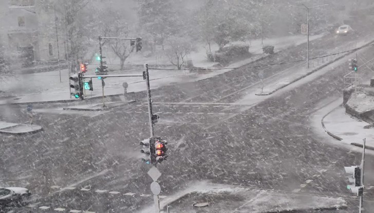 Паднали дървета блокираха входа на Кубрат, властите предупреждават шофьорите за повишено внимание Паднали дървета блокираха входа на Кубрат, властите предупреждават шофьорите за повишено внимание