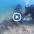 Водолази откриха турски кораб от 18-ти век край Созопол Водолази откриха турски кораб от 18-ти век край Созопол
