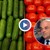 Владимир Иванов: Ненормално е килограм краставици да струва 7 лева Владимир Иванов: Ненормално е килограм краставици да струва 7 лева
