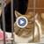 Спасени котки търсят дом чрез изложба в Русе Спасени котки търсят дом чрез изложба в Русе
