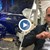 Бивш шеф на "Автомагистрали" е помлял шестте коли в София Бивш шеф на "Автомагистрали" е помлял шестте коли в София
