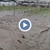Земеделци губят поминъка си след водното бедствие в Ново Делчево Земеделци губят поминъка си след водното бедствие в Ново Делчево