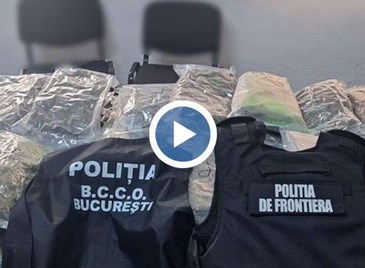 Гранична полиция откри 37 килограма канабис в камион в Гюргево Гранична полиция откри 37 килограма канабис в камион в Гюргево