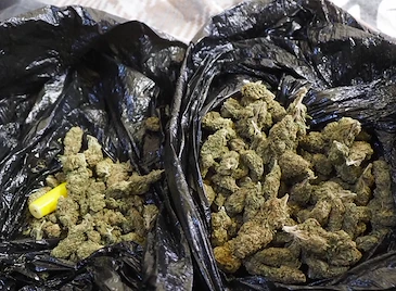 Разбиха наркосхема при спецакция в центъра на Русе Разбиха наркосхема при спецакция в центъра на Русе