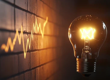 Държавата обвини студа и климатиците за надутите сметки за ток Държавата обвини студа и климатиците за надутите сметки за ток