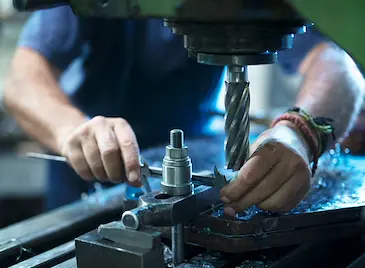 Износът пада в 106 български общини Износът пада в 106 български общини