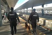 Жандармерията засилва охраната на гарата в Русе Жандармерията засилва охраната на гарата в Русе