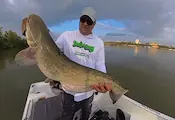 Рибари вадят едри сомове от студените води на Дунав Рибари вадят едри сомове от студените води на Дунав