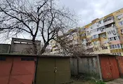 Незаконни гаражи пазят опасно дърво в Русе Незаконни гаражи пазят опасно дърво в Русе