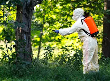 Започва пръскането срещу кърлежи в Русе Започва пръскането срещу кърлежи в Русе