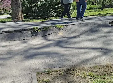 Огромно пропадане погълна алея в Парка на младежта в Русе Огромно пропадане погълна алея в Парка на младежта в Русе