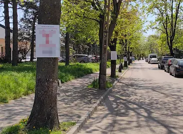 Партия превърна дърветата в квартал "Здравец" в агитационни стълбове Партия превърна дърветата в квартал "Здравец" в агитационни стълбове