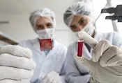 Учени създадоха клетки за мигновено спиране на кървене Учени създадоха клетки за мигновено спиране на кървене