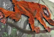 Горан Памуков изложи платна с животински кожи в Русе Горан Памуков изложи платна с животински кожи в Русе