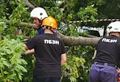 Пожарникари премахнаха опасен клон от централно кръстовище в Русе Пожарникари премахнаха опасен клон от централно кръстовище в Русе
