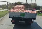 Заснеха открит камион да превозва животински отпадъци в Русе Заснеха открит камион да превозва животински отпадъци в Русе