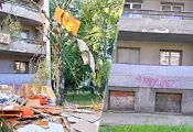 Отрязаха здрава бреза до ученическото общежитие в Русе Отрязаха здрава бреза до ученическото общежитие в Русе