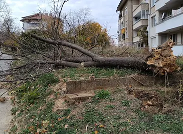 Вятър със скорост 90 км/ч връхлита Русе в сряда Вятър със скорост 90 км/ч връхлита Русе в сряда