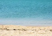 Токсична риба превзе плитките води край Крит Токсична риба превзе плитките води край Крит