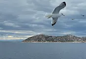 Учени: Морският бриз закъснява и носи опасен озон Учени: Морският бриз закъснява и носи опасен озон