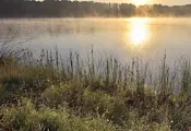 Пускат светлинни фенери над Дунав на рибен фестивал край село Мечка Пускат светлинни фенери над Дунав на рибен фестивал край село Мечка
