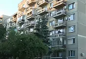 Спасиха куче и котка, заключени с дни на тераса в столичен блок Спасиха куче и котка, заключени с дни на тераса в столичен блок