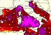 Средиземно море се превръща в тропически басейн Средиземно море се превръща в тропически басейн