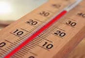 Жега в Сърбия: Улиците на Белград опустяха при температури до 40 градуса Жега в Сърбия: Улиците на Белград опустяха при температури до 40 градуса