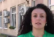 Граждани ще картотекират дигитално дърветата в Русе Граждани ще картотекират дигитално дърветата в Русе