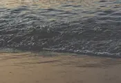 "Мъртвакът" по морето подрани "Мъртвакът" по морето подрани