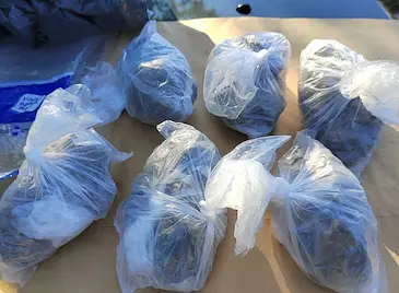 Разкриха тайни депа с килограми дрога в Русе Разкриха тайни депа с килограми дрога в Русе