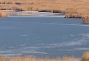 Нова гореща вълна носи рекордно ниски води на Дунав Нова гореща вълна носи рекордно ниски води на Дунав