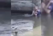 Полицай спаси давещо се дете от река Марица Полицай спаси давещо се дете от река Марица