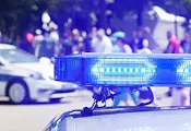 Арестуваха българка в Загреб за телефонни измами Арестуваха българка в Загреб за телефонни измами
