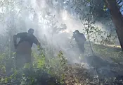 Мълния запали гора в Национален парк "Пирин" Мълния запали гора в Национален парк "Пирин"