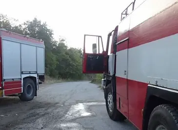 300 прасета загинаха при пожар в свинекомплекс "Голямо Враново" 300 прасета загинаха при пожар в свинекомплекс "Голямо Враново"
