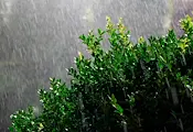 Краткотрайни бури с градушки връхлитат части от България Краткотрайни бури с градушки връхлитат части от България