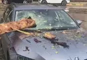 Дърво прониза автомобил на булевард "Витоша" в София Дърво прониза автомобил на булевард "Витоша" в София