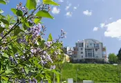 РИОСВ - Русе отчете спад на сигналите за миризми в града РИОСВ - Русе отчете спад на сигналите за миризми в града