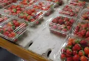 Забраняват пластмасовото фолио за плодове и зеленчуци Забраняват пластмасовото фолио за плодове и зеленчуци