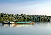 Застой в нивото на Дунав при Русе Застой в нивото на Дунав при Русе