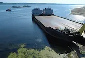 Сушата блокира ферибота в Оряхово Сушата блокира ферибота в Оряхово