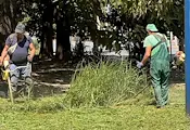 Продължава поддръжката на зелените площи в Русе Продължава поддръжката на зелените площи в Русе