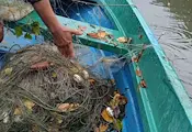 Удар срещу бракониерите по река Янтра Удар срещу бракониерите по река Янтра