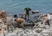 Откриха останки на германски войници в пресъхналия Дунав Откриха останки на германски войници в пресъхналия Дунав