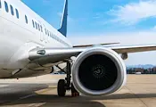 Откриха останки от птица в двигателя на авариралия самолет на Ryanair Откриха останки от птица в двигателя на авариралия самолет на Ryanair